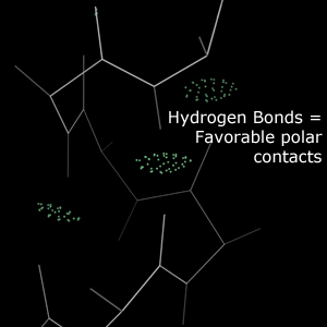 Example hydrogen bonds